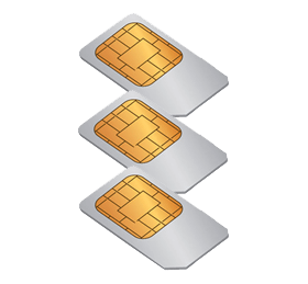 SIM card hosting